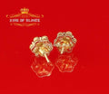King of Bling's 4.12ct Cubic Zirconia 925 Yellow Silver Women's & Men's Hip Hop Flower Earrings KING OF BLINGS
