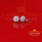 King of Bling's 925 Silver White 1.50ct VVS 'D' Men's & Womens Moissanite Floral Stud Earrings KING OF BLINGS