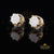 King of Bling's 925 Yellow 0.58ct Sterling Silver Cubic Zirconia Women's Hip Hop Flower Earrings KING OF BLINGS